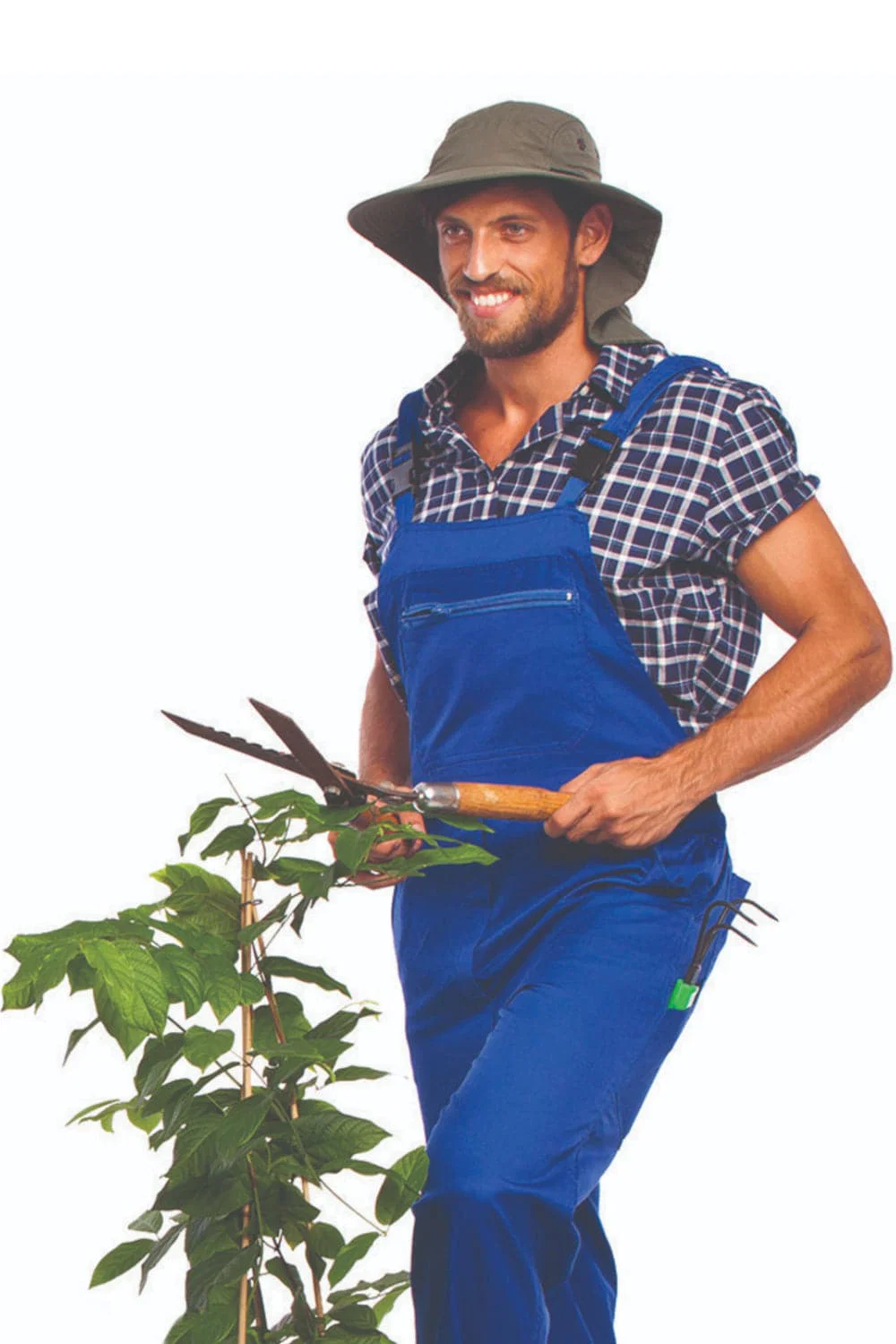 תמונת מוצר 1